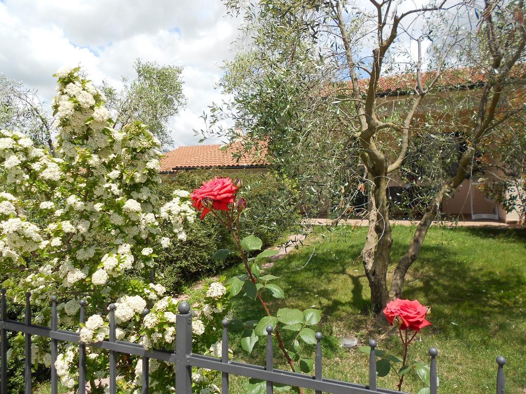 Poggio Degli Olivi ξενώνας Saturnia Εξωτερικό φωτογραφία