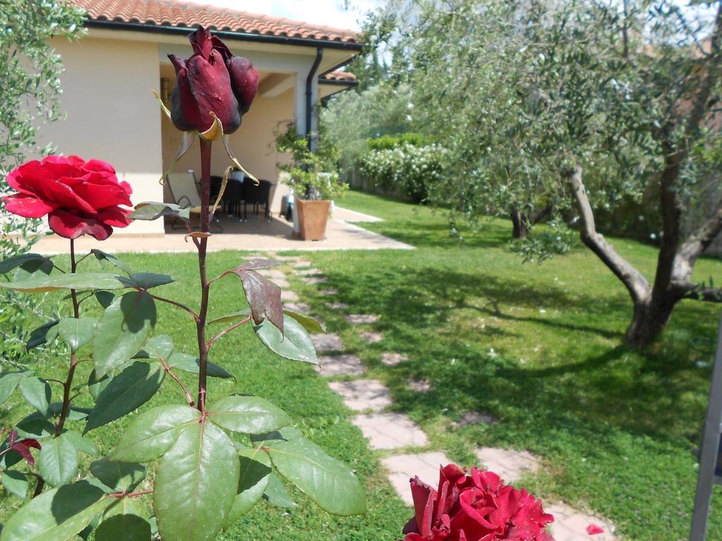 Poggio Degli Olivi ξενώνας Saturnia Εξωτερικό φωτογραφία