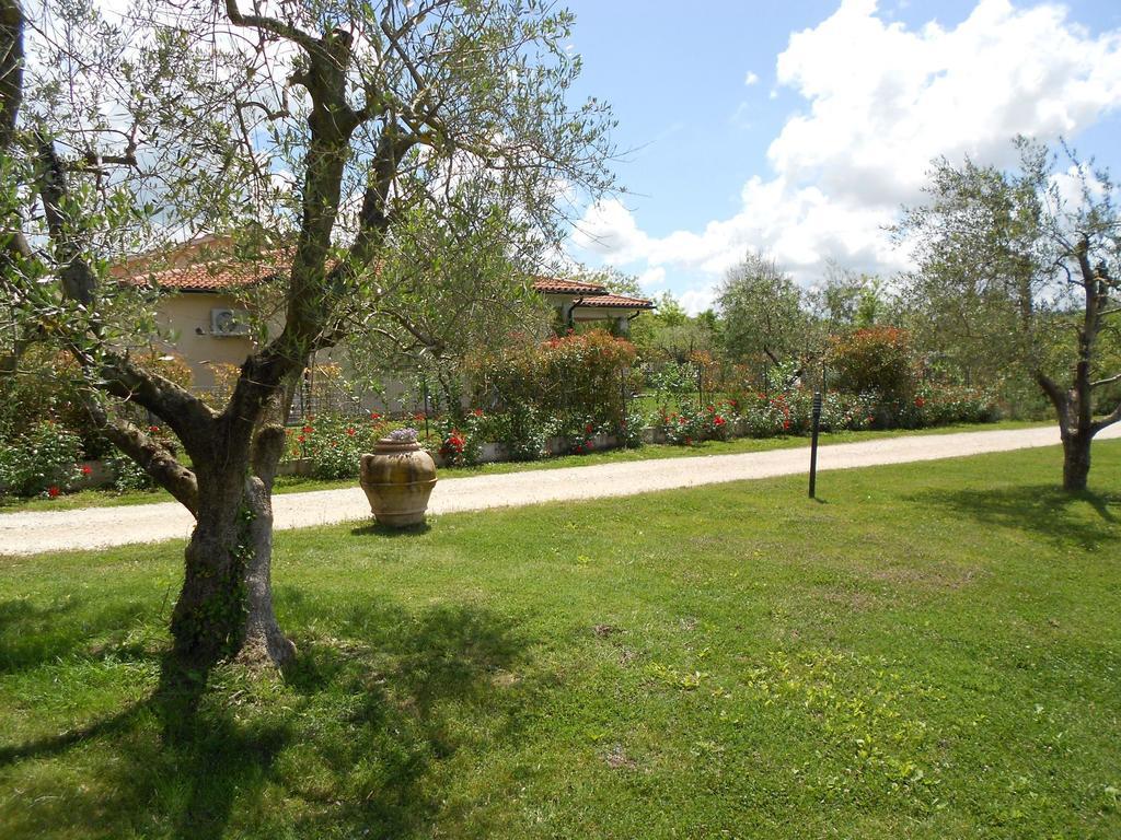 Poggio Degli Olivi ξενώνας Saturnia Εξωτερικό φωτογραφία