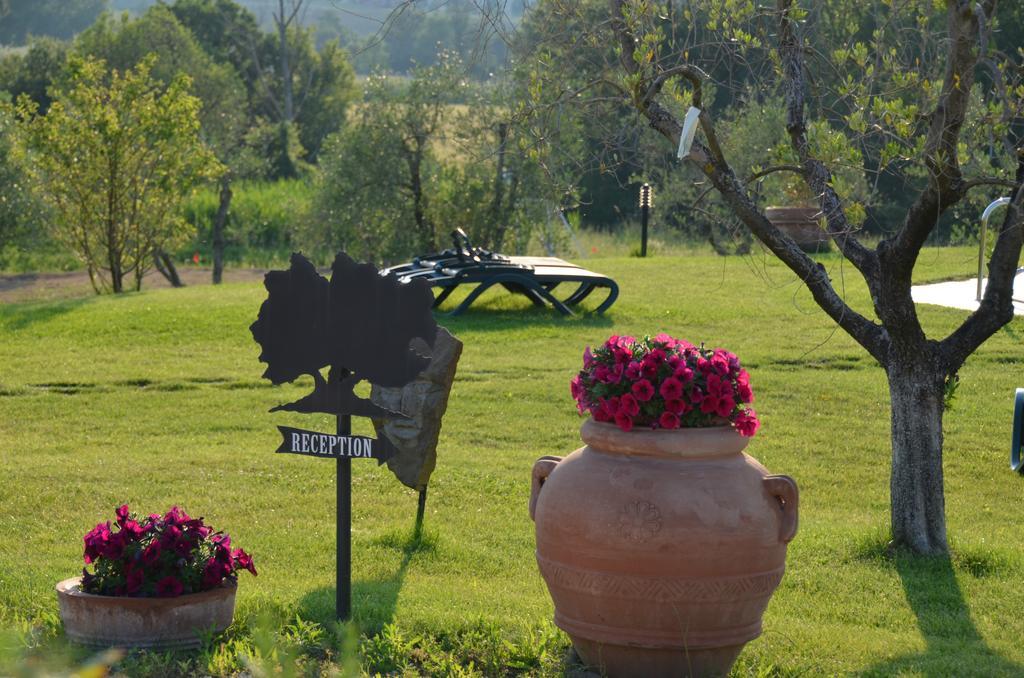 Poggio Degli Olivi ξενώνας Saturnia Εξωτερικό φωτογραφία