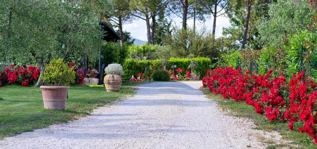 Poggio Degli Olivi ξενώνας Saturnia Εξωτερικό φωτογραφία