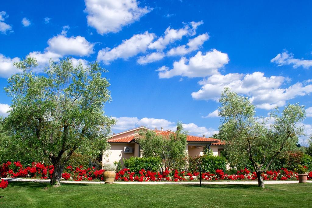 Poggio Degli Olivi ξενώνας Saturnia Εξωτερικό φωτογραφία